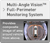 Multi-Angle Vision Full-Perimeter Monitoring System