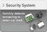 Security System