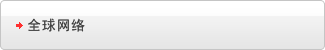 全球网络