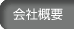 ЊTv
