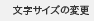 文字サイズの変更