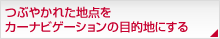Ԃ₩ꂽn_J[irQ[V̖ړInɂ